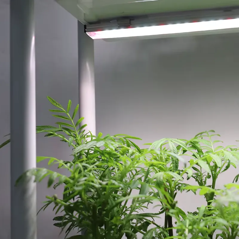 Indoor Herb Garden - Sistema di Coltivazione Verticale Mobile a