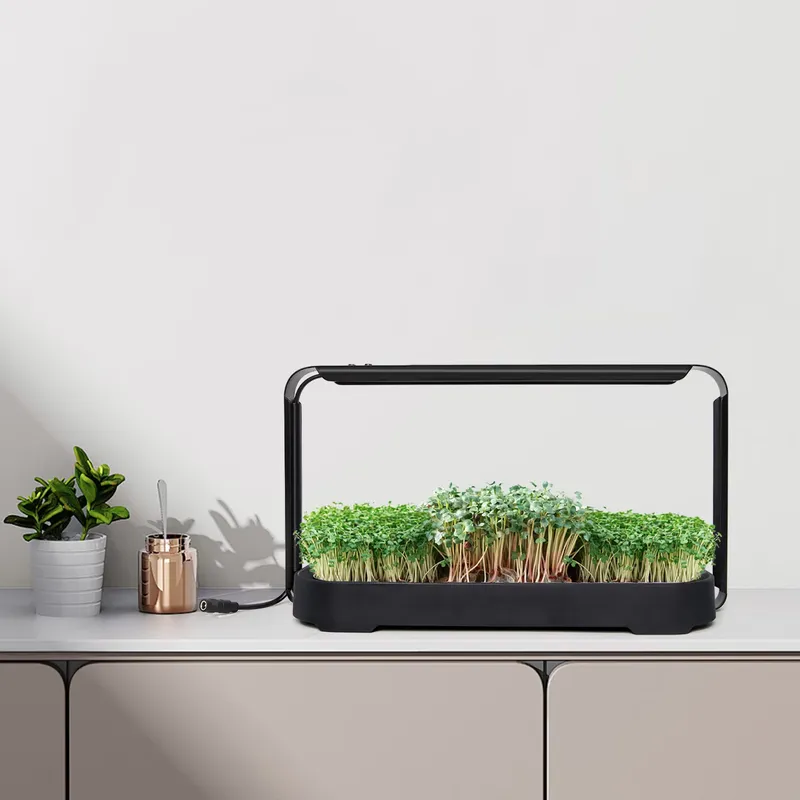 Hydroponic Kit - Sistema di coltivazione idroponica per microgreens