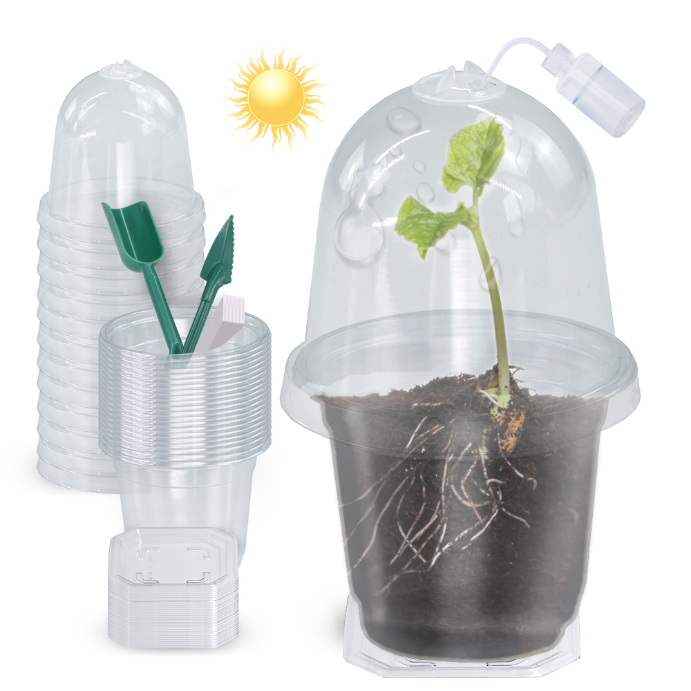 Seed Starter Tray - 160x90cm Visibile Trasparente Piante Tazza di