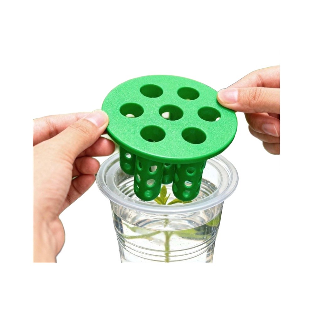 Hydroponic Kit - 4 kit per la ricrescita delle
