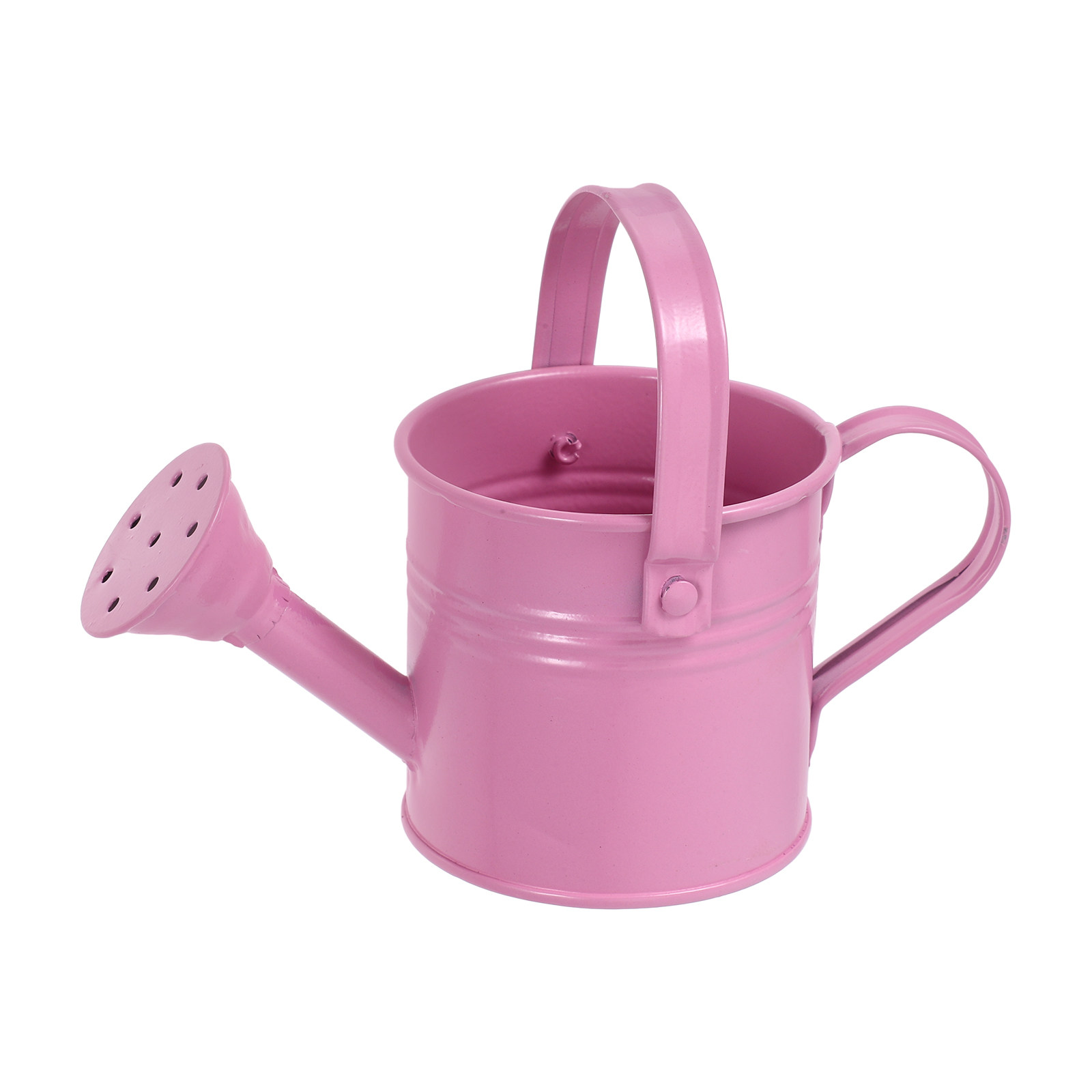 Watering Can - Mini annaffiatoio zincato per piante grasse