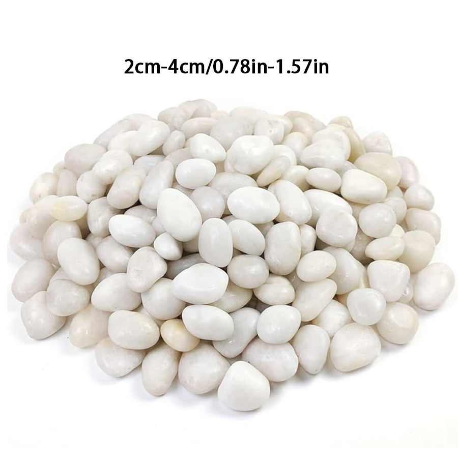 300/600g Ciottoli Bianchi Luci - Indoor Herb Garden recensione e prezzo