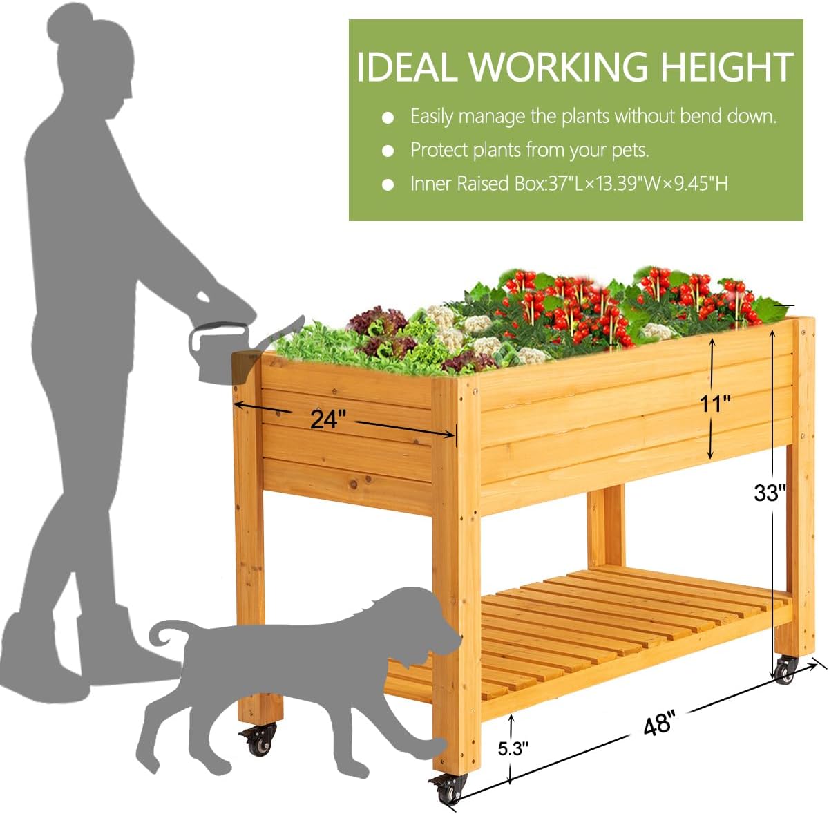 Fioriera Rialzata Mobile in Le - Raised Garden Bed recensione e prezzo