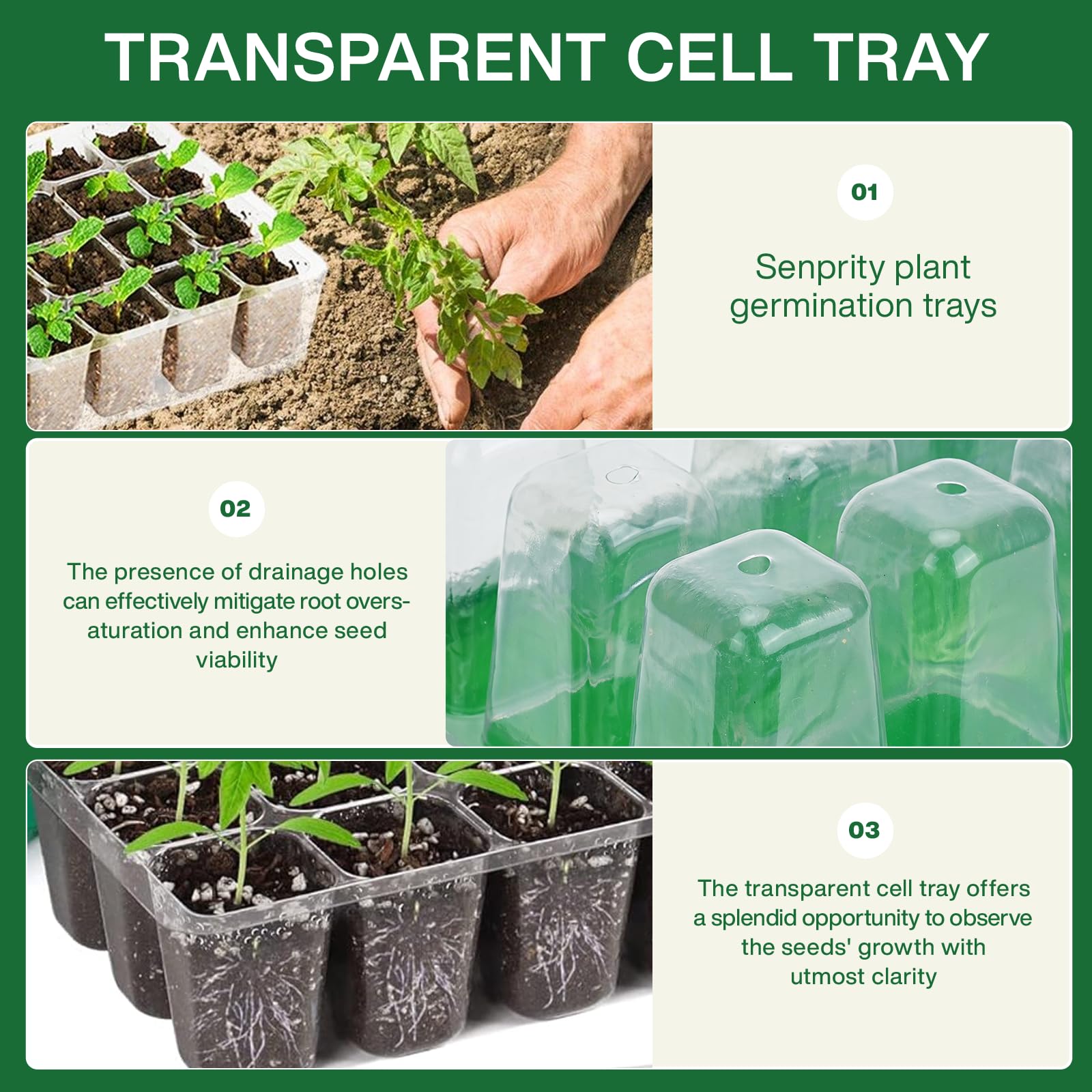 Vassoio per la Germinazione de - Seed Starter Tray recensione e prezzo