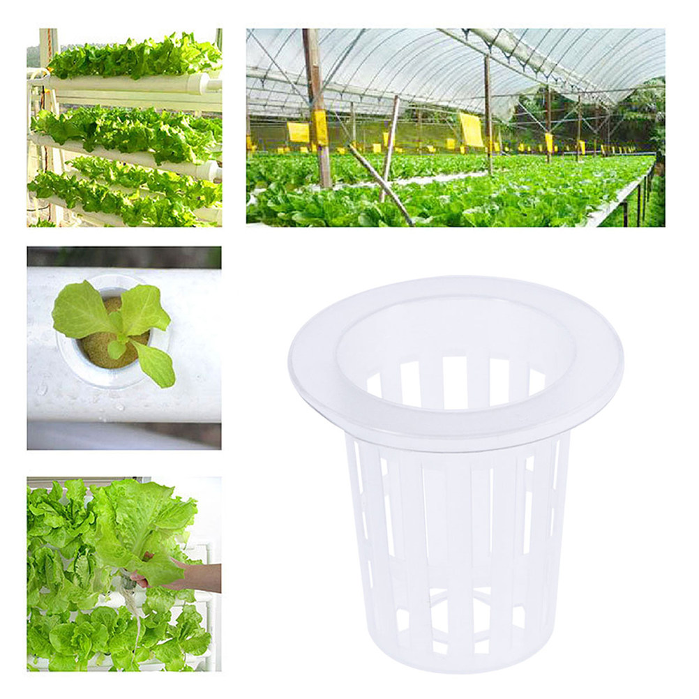 10 vasi a rete per coltivazion - Plant Pot recensione e prezzo