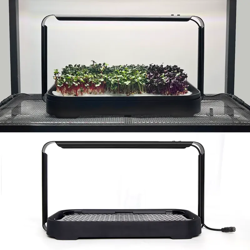 Sistema di coltivazione idropo - Hydroponic Kit recensione e prezzo