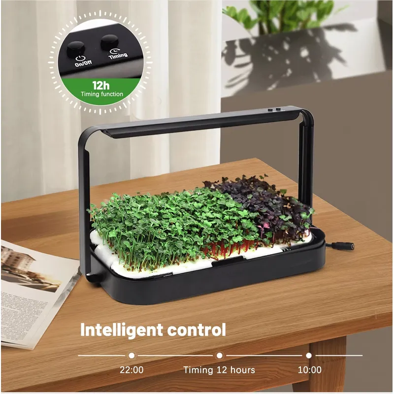 Sistema di coltivazione idropo - Hydroponic Kit recensione e prezzo
