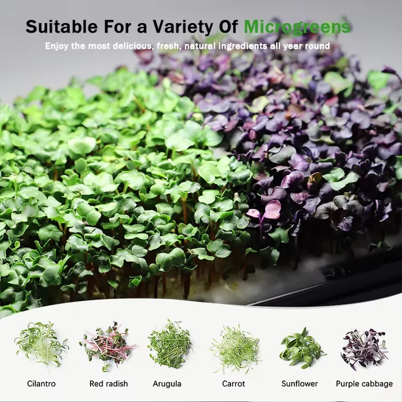 Sistema di coltivazione idropo - Hydroponic Kit recensione e prezzo