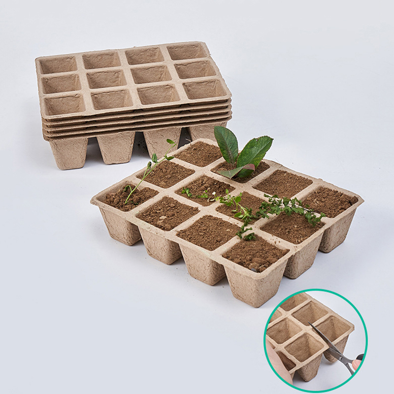 5 pz 12 fori pianta vassoio vi - Seed Starter Tray recensione e prezzo