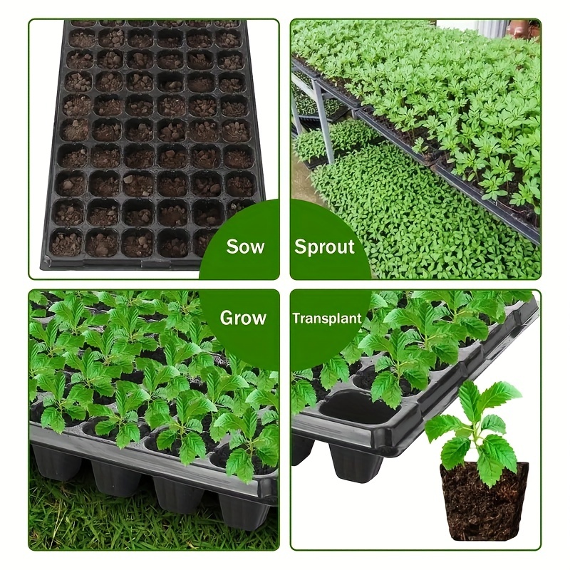 Vassoio per semina da 10-20, v - Seed Starter Tray recensione e prezzo