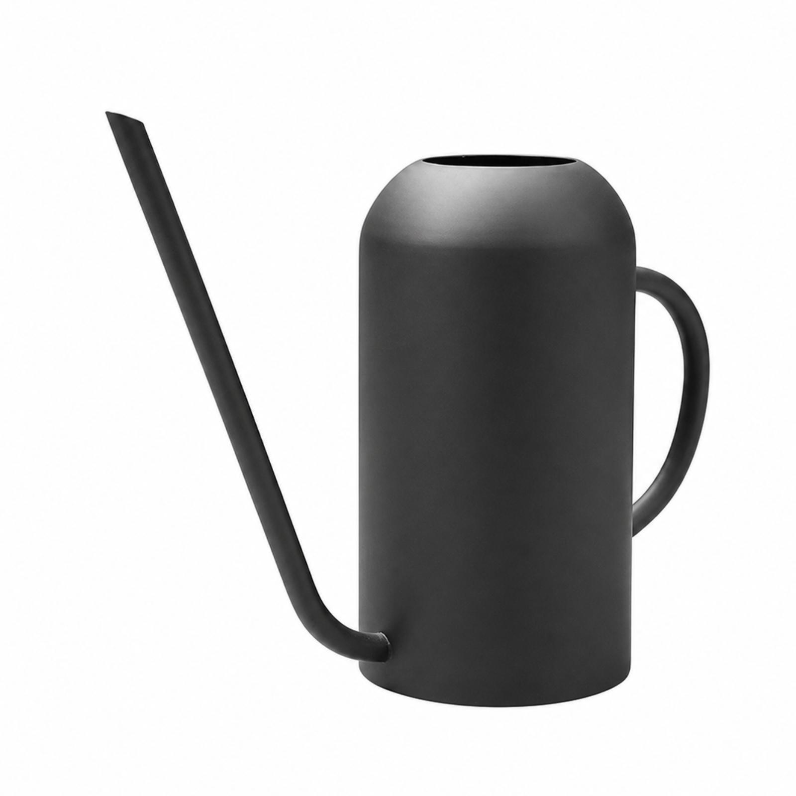 Annaffiatoio in acciaio inossi - Watering Can recensione e prezzo