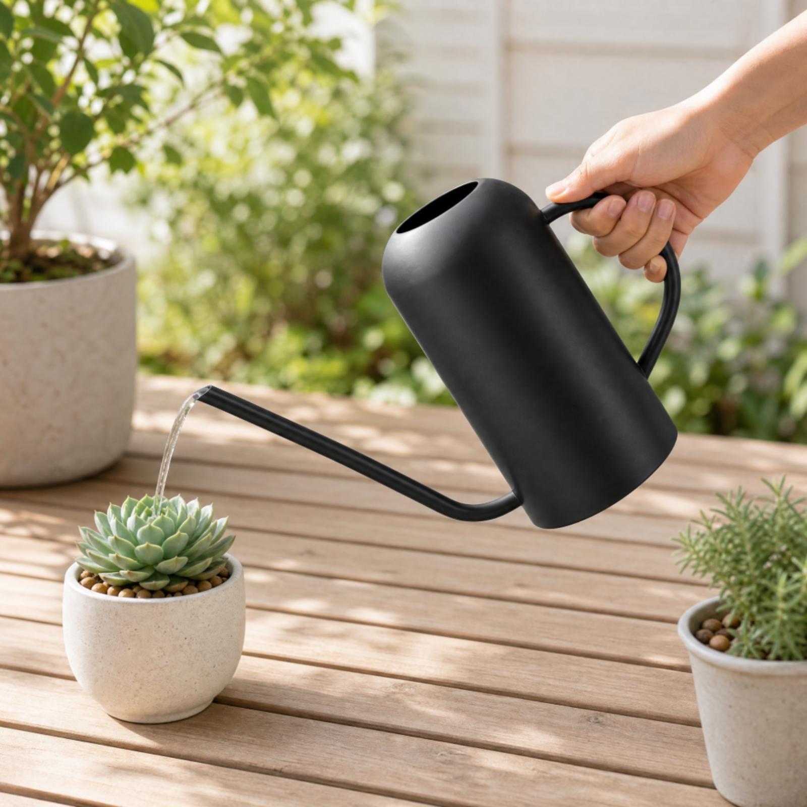 Annaffiatoio in acciaio inossi - Watering Can recensione e prezzo