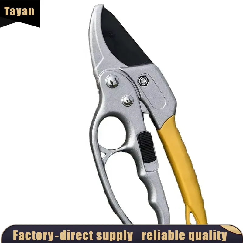 EE1 per Forbici da Potatura a  - Pruning Shears recensione e prezzo