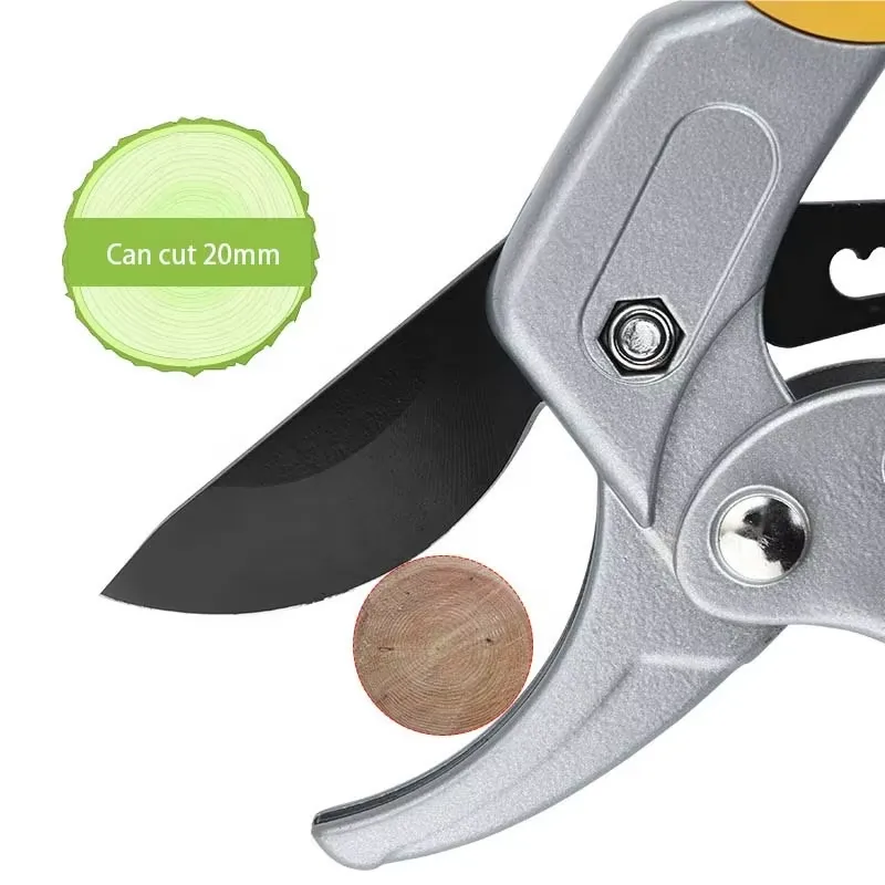 EE1 per Forbici da Potatura a  - Pruning Shears recensione e prezzo