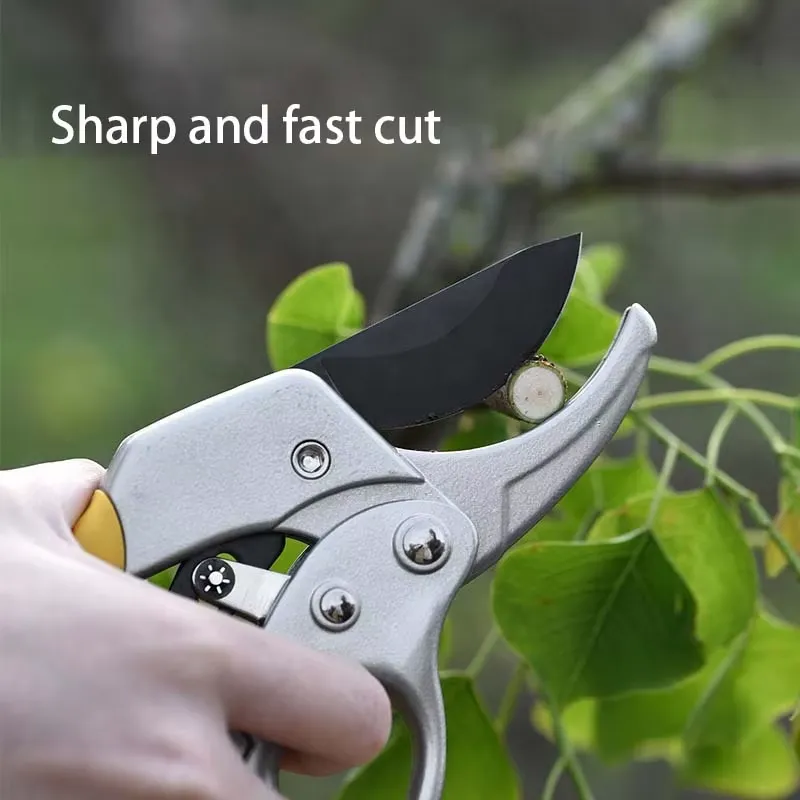 EE1 per Forbici da Potatura a  - Pruning Shears recensione e prezzo