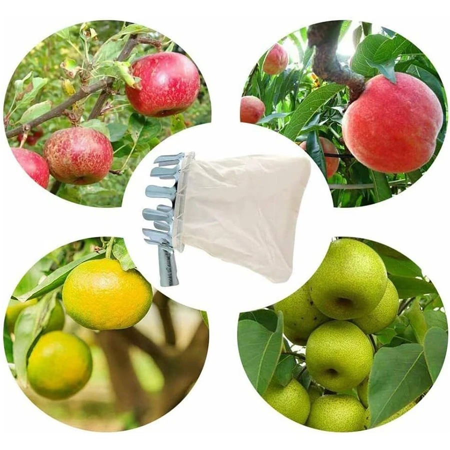 Set di Attrezzi 3-in-1 per la  - Grow Bag recensione e prezzo