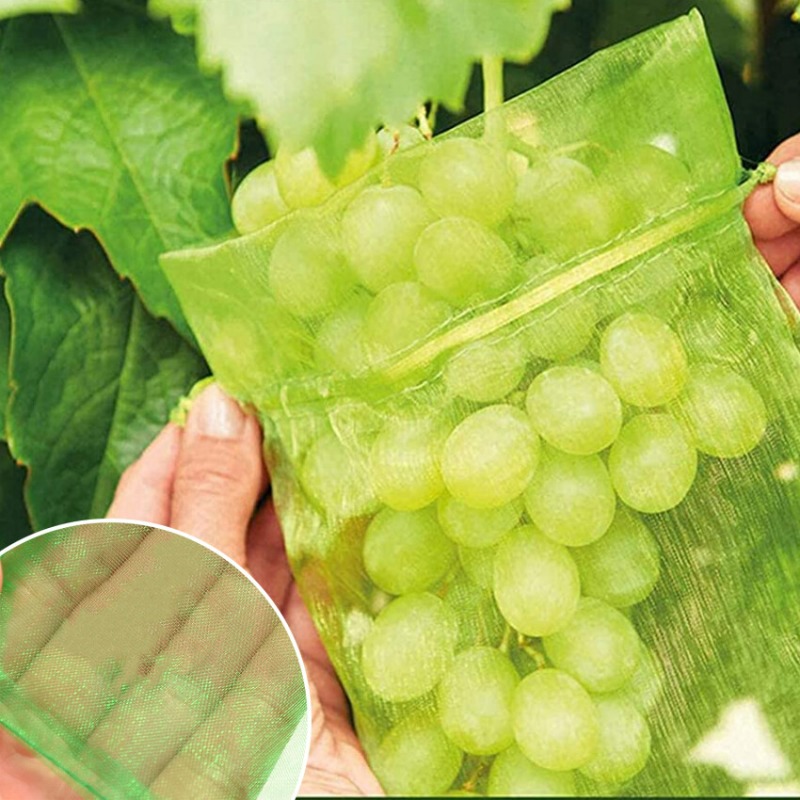 Sacchetti in organza 10/120x p - Grow Bag recensione e prezzo
