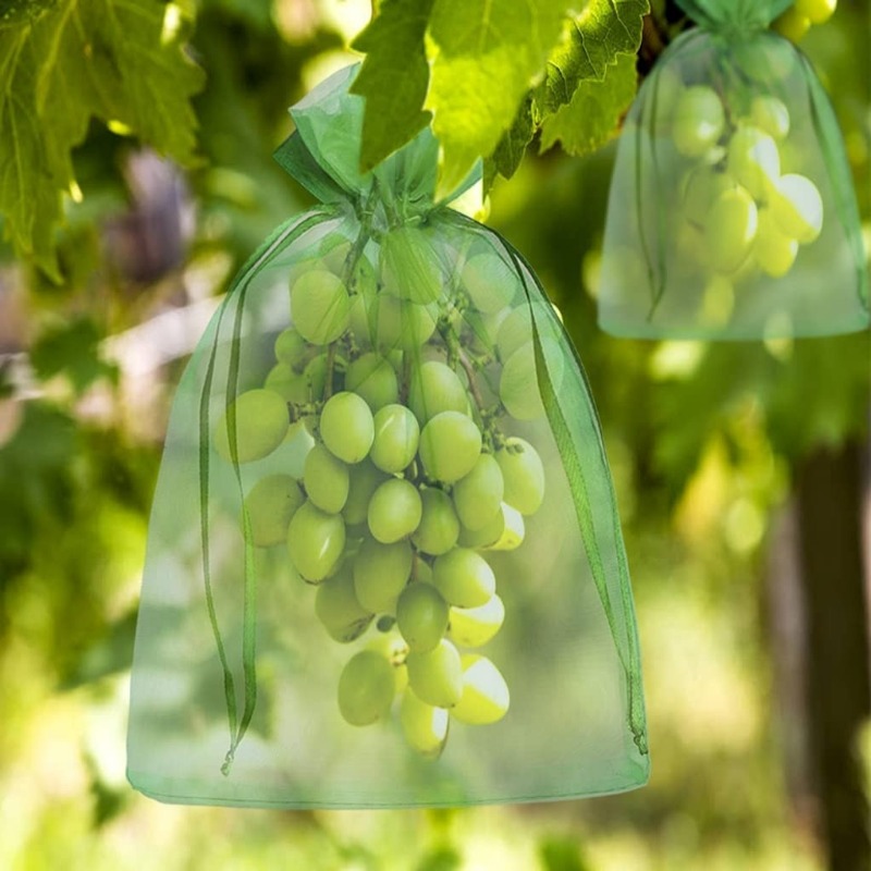 Sacchetti in organza 10/120x p - Grow Bag recensione e prezzo