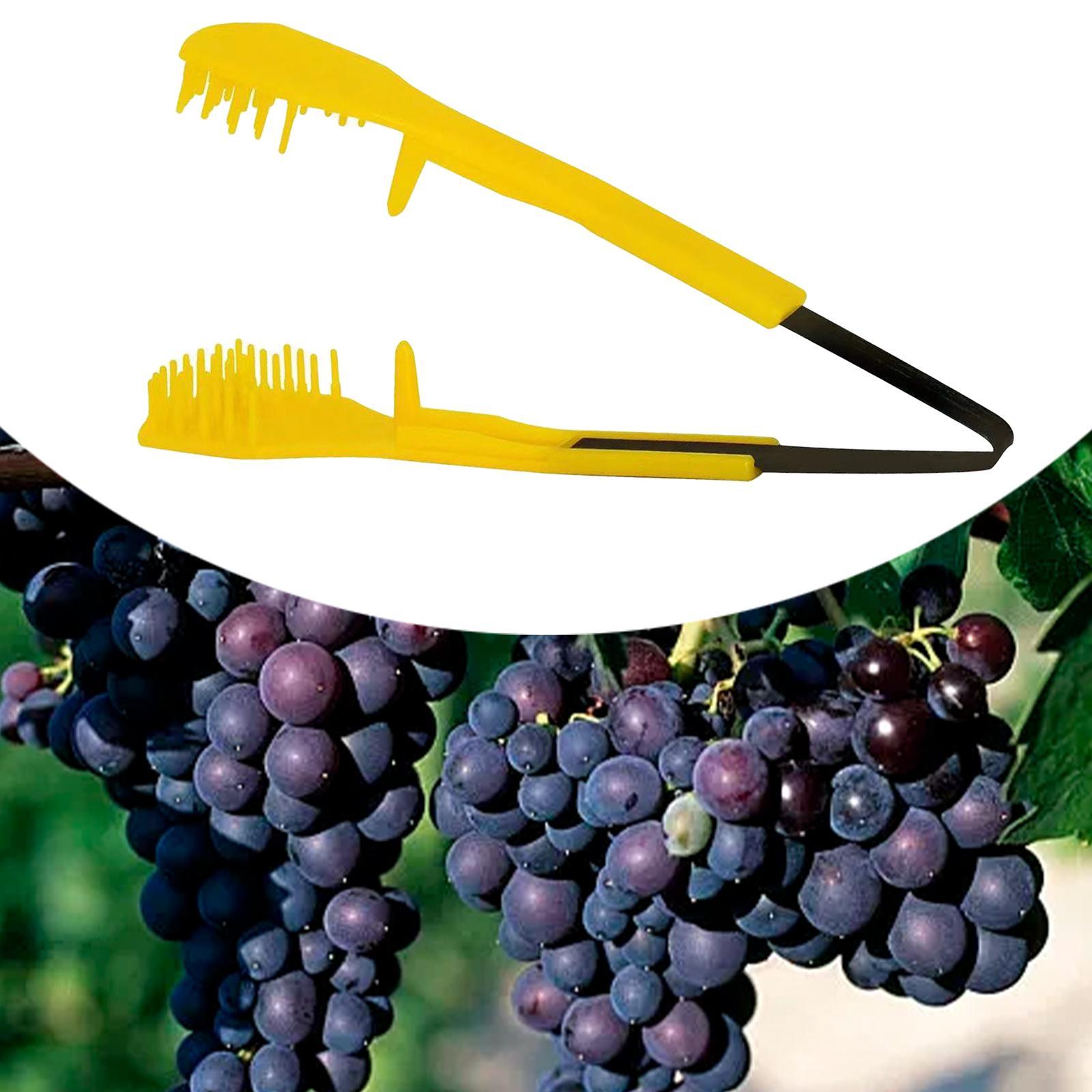 Forbici da Potatura Standard,  - Pruning Shears recensione e prezzo