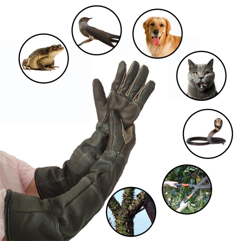 Guanti per animali domestici G - Garden Gloves recensione e prezzo
