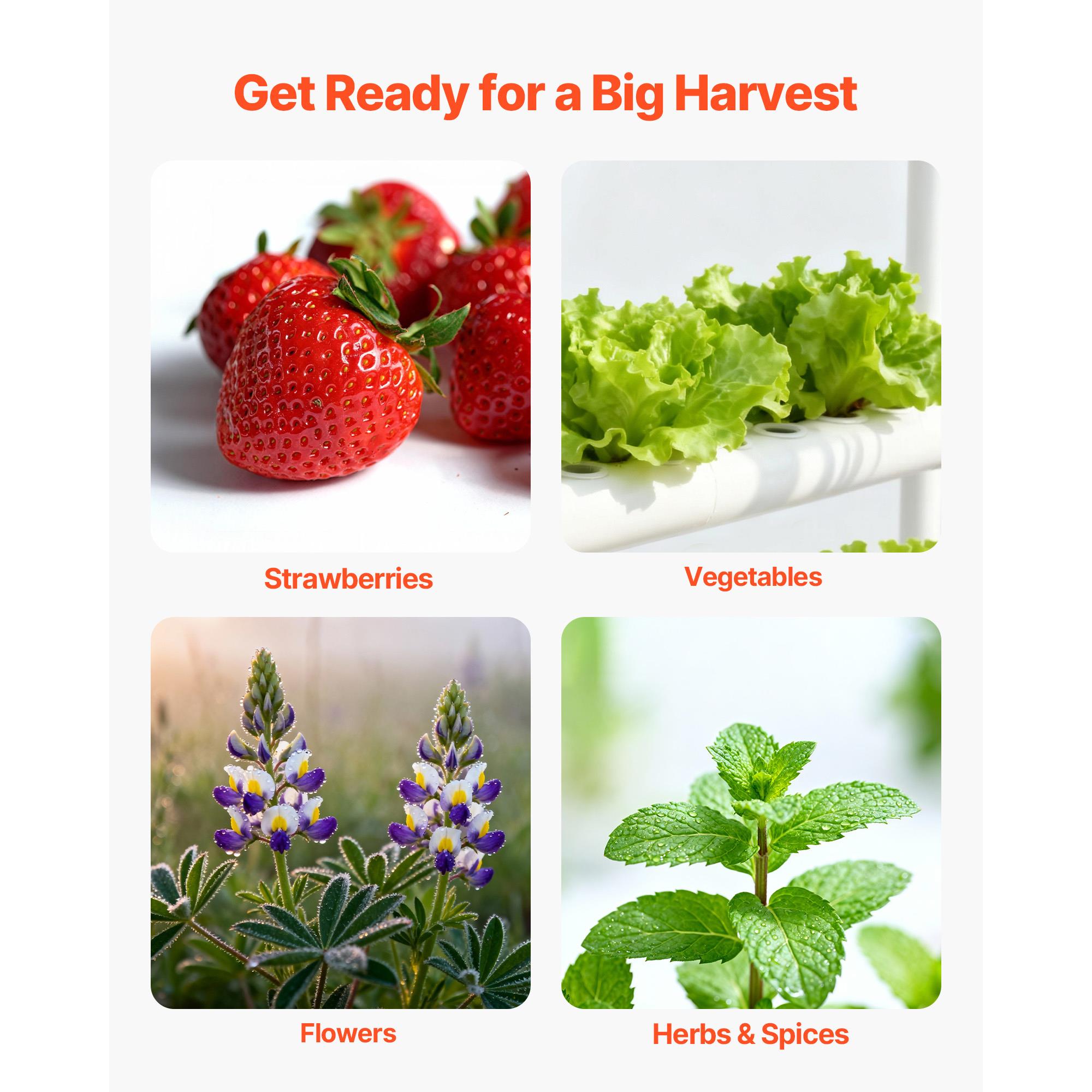 Kit per sistema di coltivazion - Hydroponic Kit recensione e prezzo