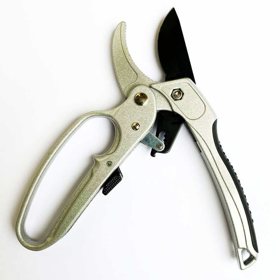Forbici Professionali a Cricch - Pruning Shears recensione e prezzo