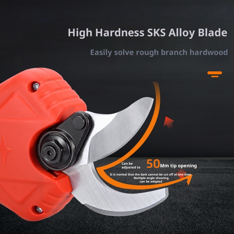 Potatori elettrici estesi Teso - Pruning Shears recensione e prezzo
