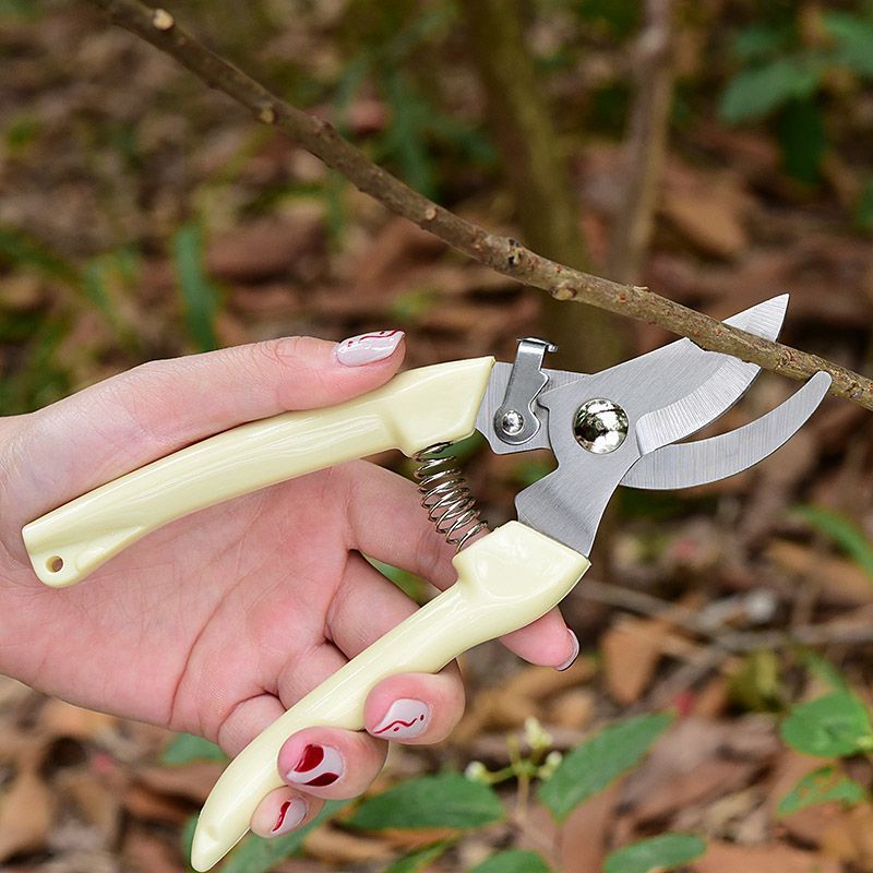Forbici da Potatura da Giardin - Pruning Shears recensione e prezzo