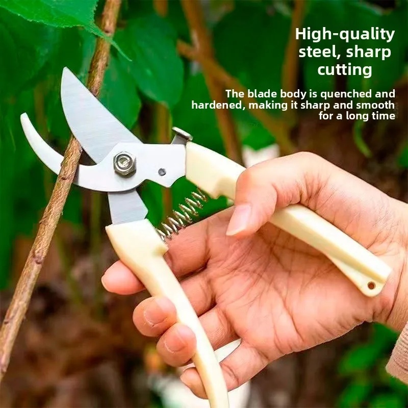 Forbici da Potatura da Giardin - Pruning Shears recensione e prezzo