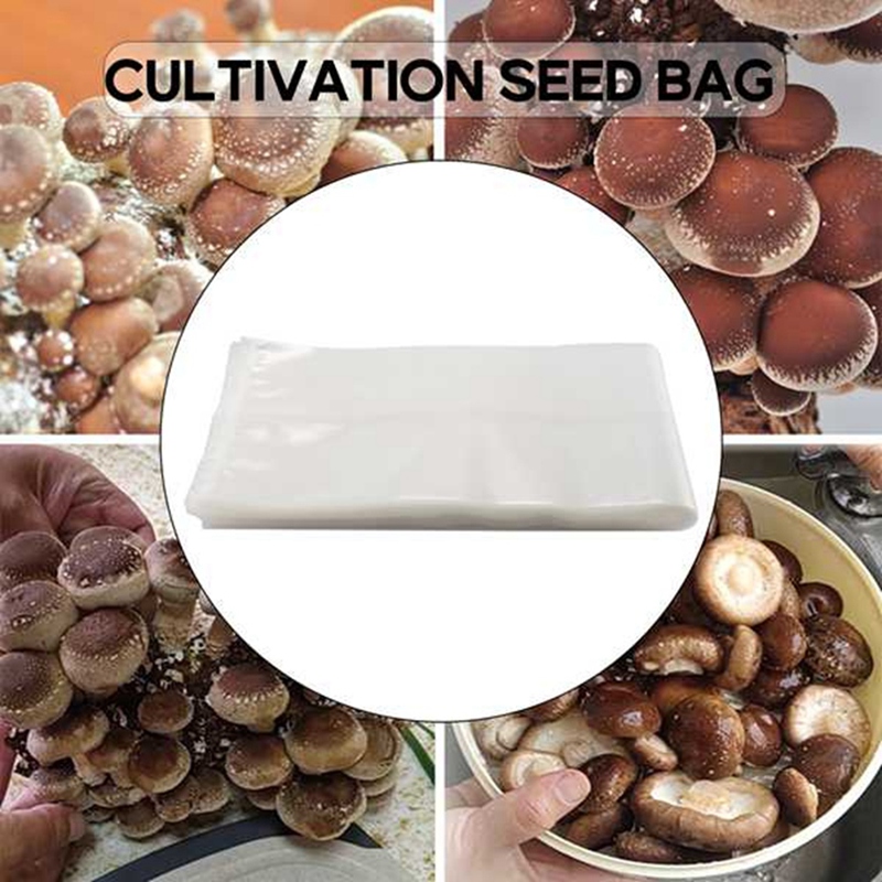 50 sacchetti per funghi/sacche - Grow Bag recensione e prezzo