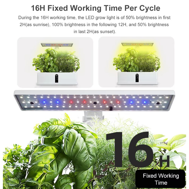 Sistema di Coltivazione Idropo - Hydroponic Kit recensione e prezzo