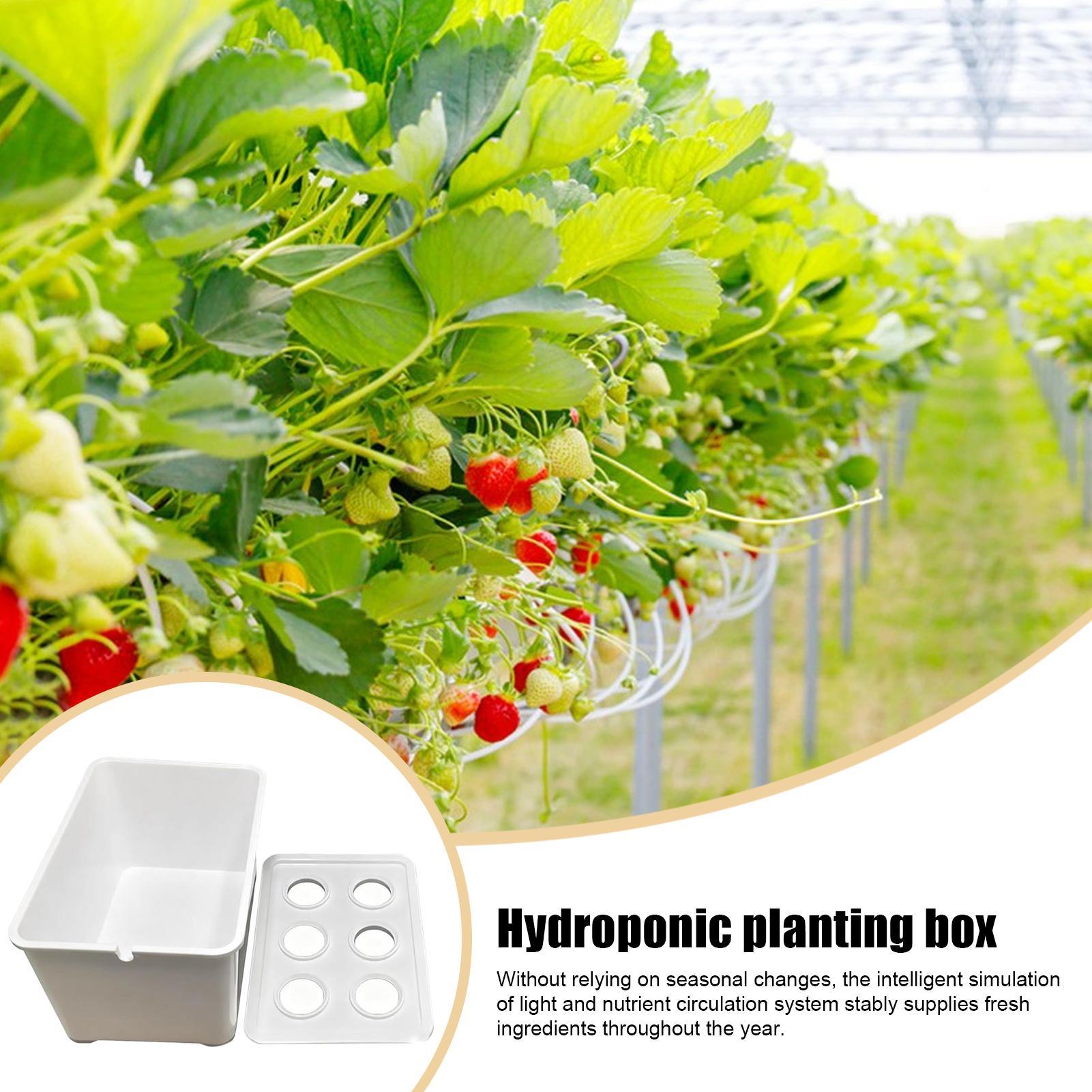 Kit per piantare idroponico At - Hydroponic Kit recensione e prezzo