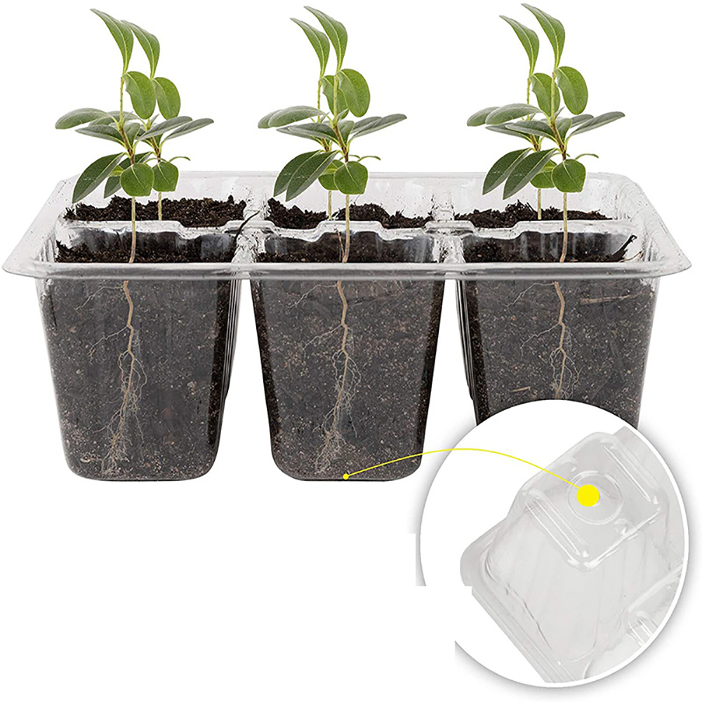 Vassoi di avviamento per semi  - Seed Starter Tray recensione e prezzo