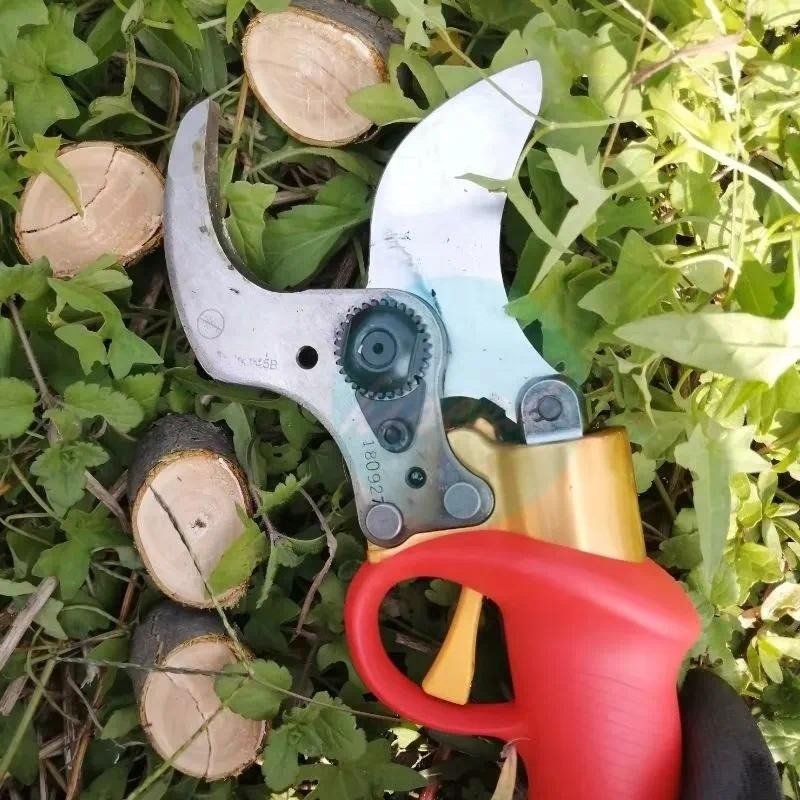 Forbici da Potatura a Batteria - Pruning Shears recensione e prezzo