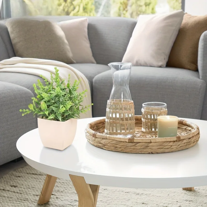 Commercio all'ingrosso Bonsai  - Indoor Herb Garden recensione e prezzo