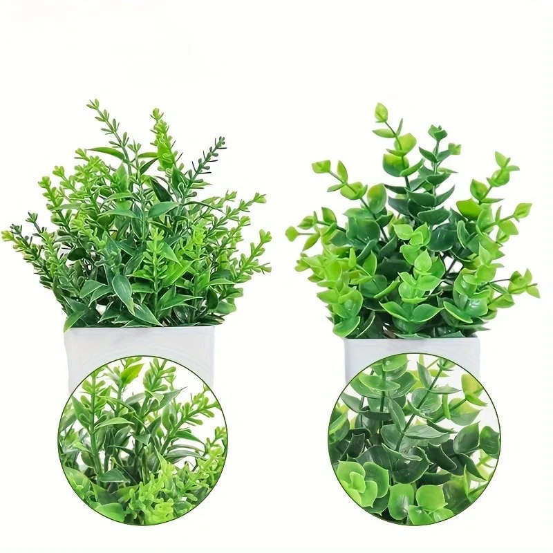 Commercio all'ingrosso Bonsai  - Indoor Herb Garden recensione e prezzo