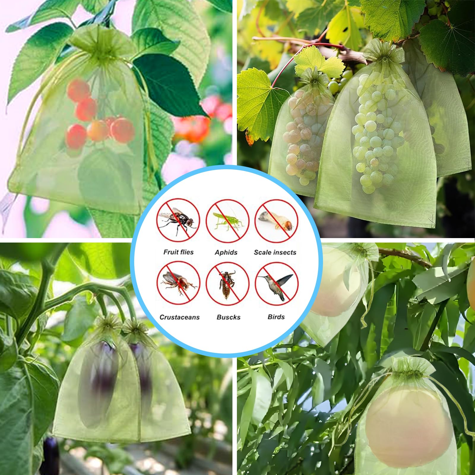 Rete Anti-Uccelli Efficace, Sa - Grow Bag recensione e prezzo