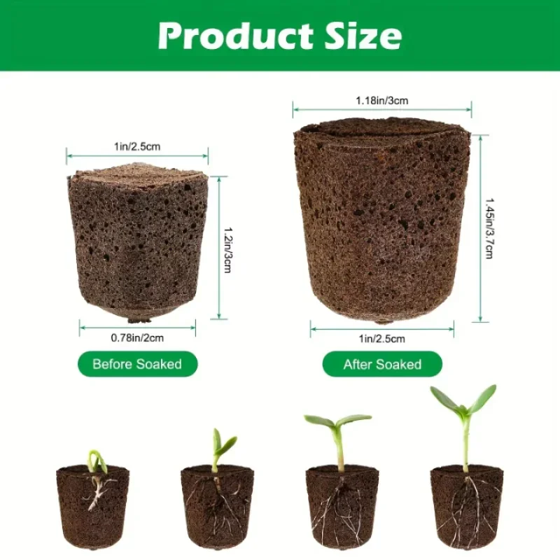 Kit di Spugne per Germinazione - Hydroponic Kit recensione e prezzo