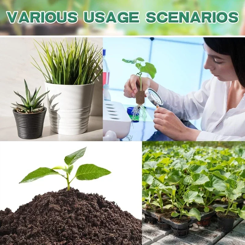 Kit di Spugne per Germinazione - Hydroponic Kit recensione e prezzo