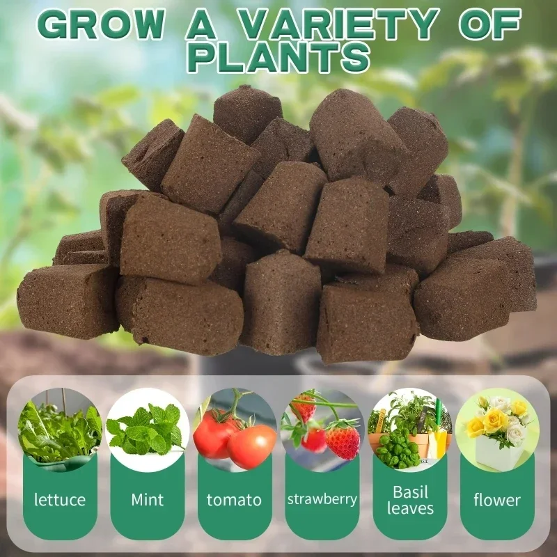 Kit di Spugne per Germinazione - Hydroponic Kit recensione e prezzo