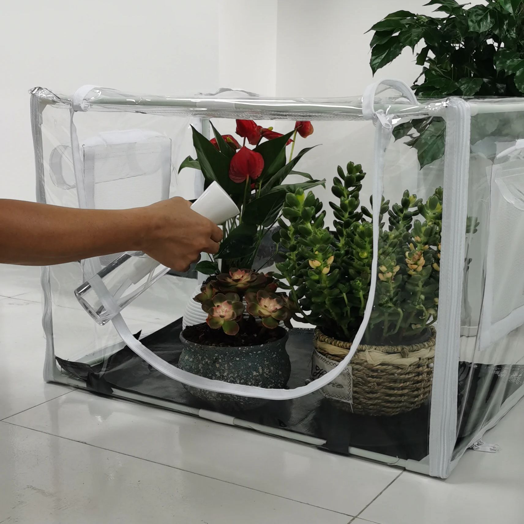 Serra compatta per interni/est - Grow Bag recensione e prezzo
