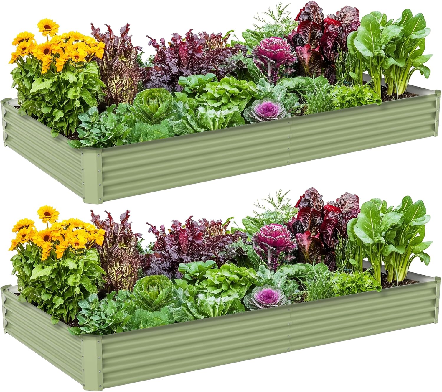 Fioriera Rialzata in Metallo p - Raised Garden Bed recensione e prezzo