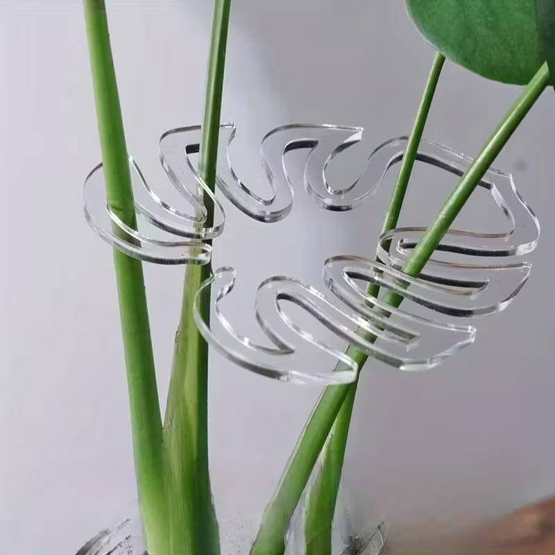 Confezione da 10 Clip Traspare - Indoor Herb Garden recensione e prezzo