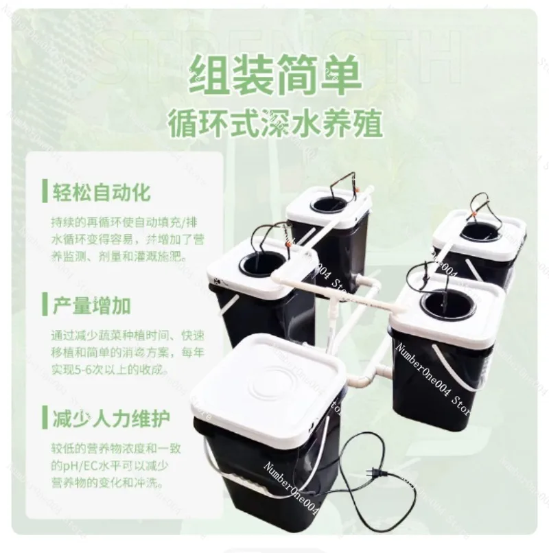 Kit Idroponico RDWC per Balcon - Hydroponic Kit recensione e prezzo