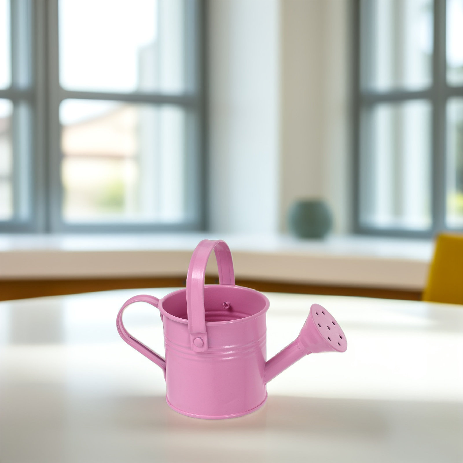 Mini annaffiatoio zincato per  - Watering Can recensione e prezzo