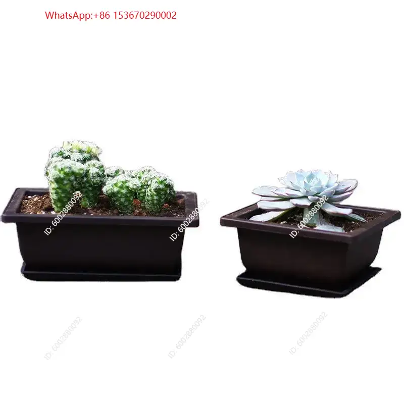 1 vaso da fiori in plastica co - Plant Pot recensione e prezzo