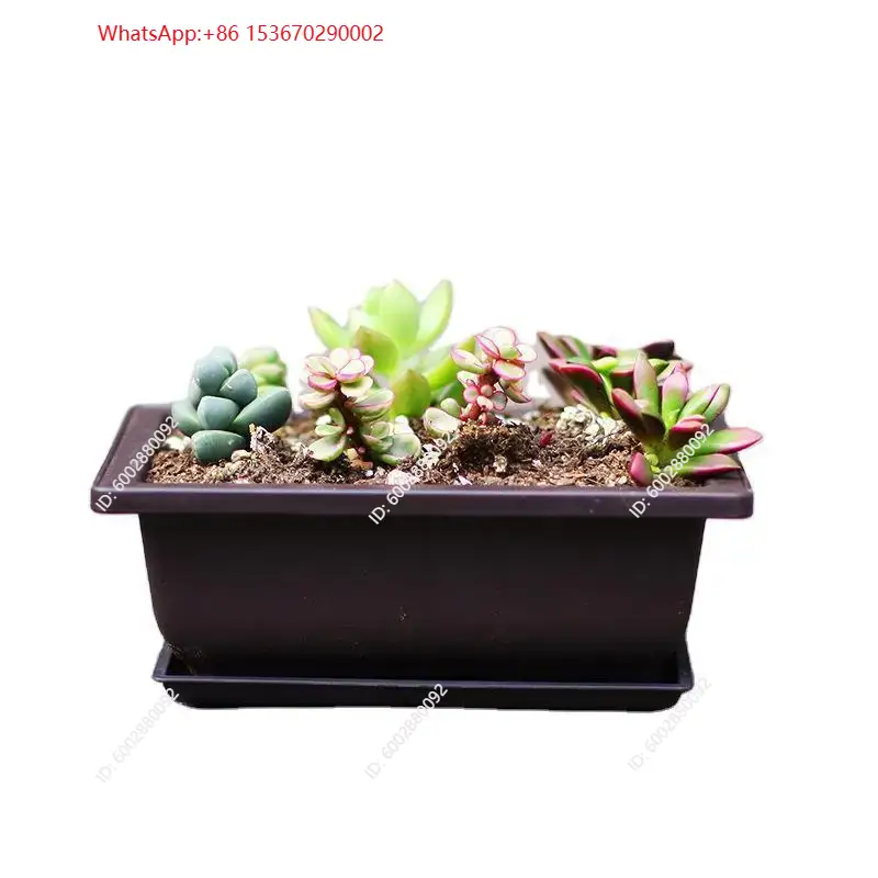 1 vaso da fiori in plastica co - Plant Pot recensione e prezzo