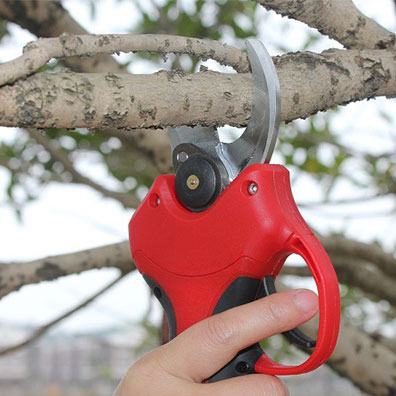 Forbici Elettriche per Potatur - Pruning Shears recensione e prezzo