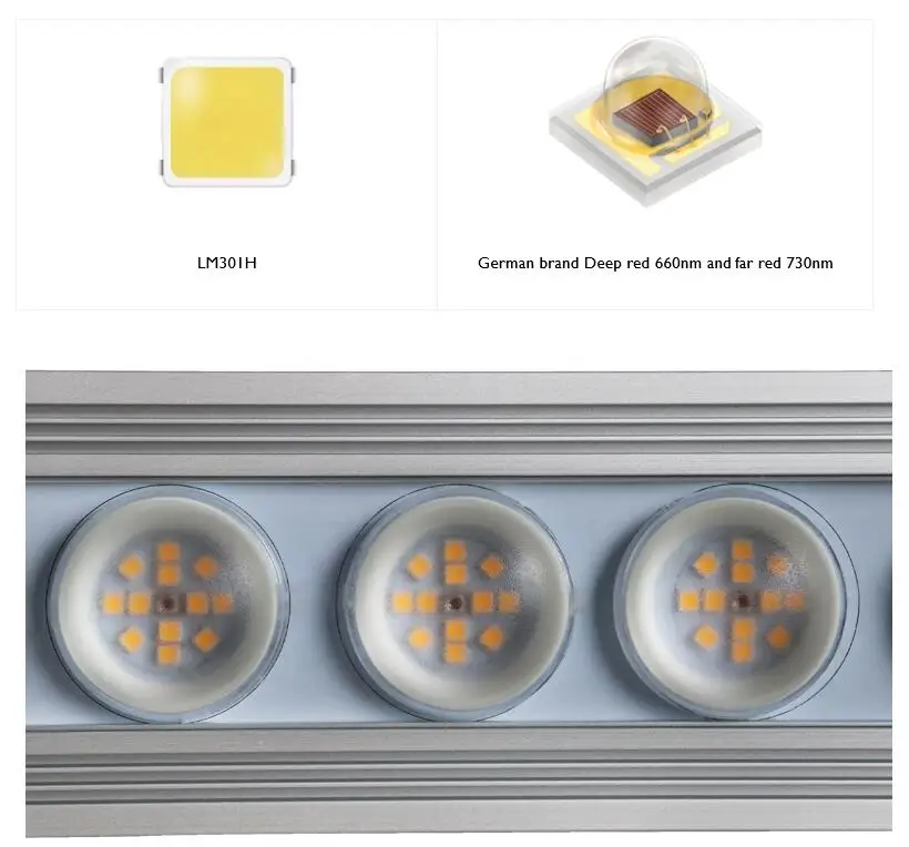 Luce LED per Piante Koray 900W - Grow Light Led recensione e prezzo