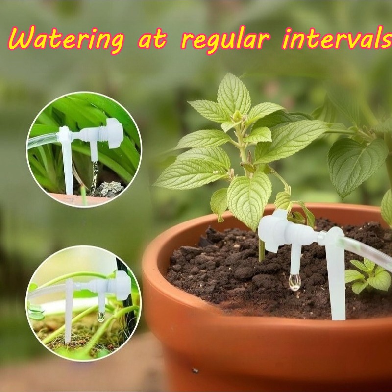 Timer per Irrigazione Automati - Watering Can recensione e prezzo